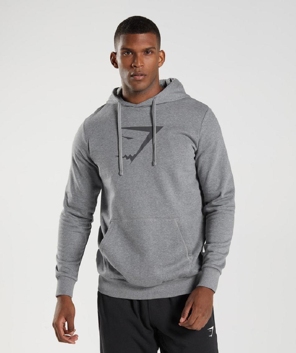 Gymshark Sharkhead Infill Muške Majica S Kapuljačom Sive | HR 2731RVD